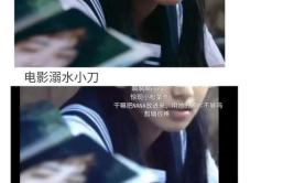 娱乐圈综艺文吃瓜文,揭秘综艺幕后那些事儿