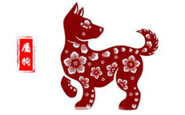 属狗2019年运势,金犬跃动，运势详解与吉祥指南