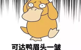 娱乐吃瓜酱信息差,吃瓜酱带你领略信息差背后的精彩故事