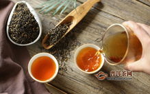 政和工夫茶,千年传承的茶艺精髓