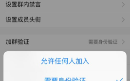 网赚qq群,揭秘网络赚钱的秘密通道