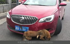 瑞彩娱乐,引领娱乐新风尚，打造多元化娱乐体验