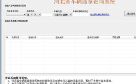车辆违章信息查询,一网打尽，安全出行无忧